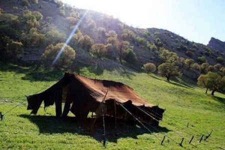 تامین زیرساخت‌های لازم برای زندگی عشایر استان تهران ضروری است - خبرگزاری مهر | اخبار ایران و جهان