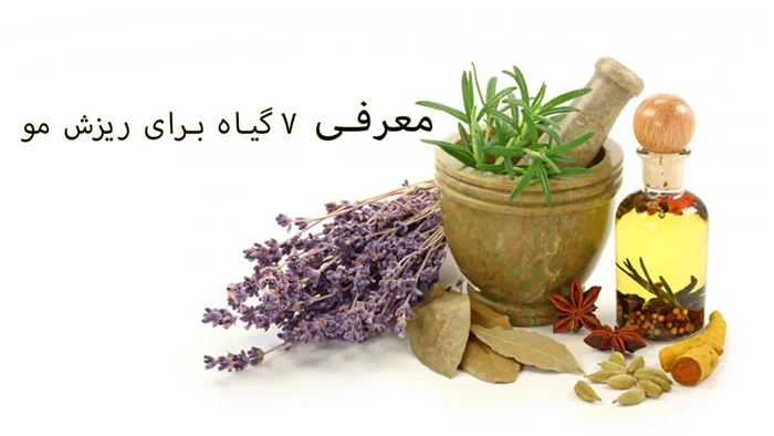 7 تا از بهترین داروهای گیاهی برای ریزش مو | معجزه های طبیعت