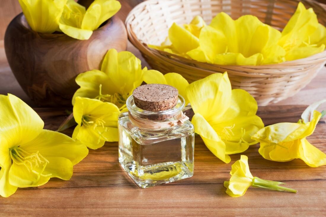 روغن گل مغربی باعث درمان میگرن می‌شود یا تشدید آن؟