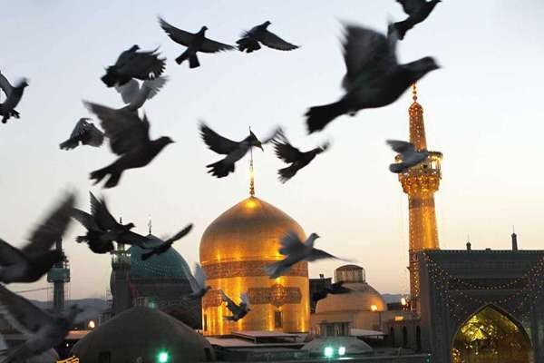 دلم خورشید می‌خواهد ... - ایسنا