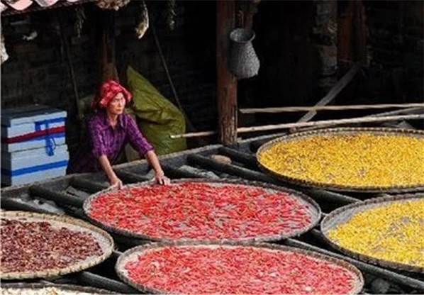 کشاورزی مراحل نگهداری از محصولات کشاورزی چیست