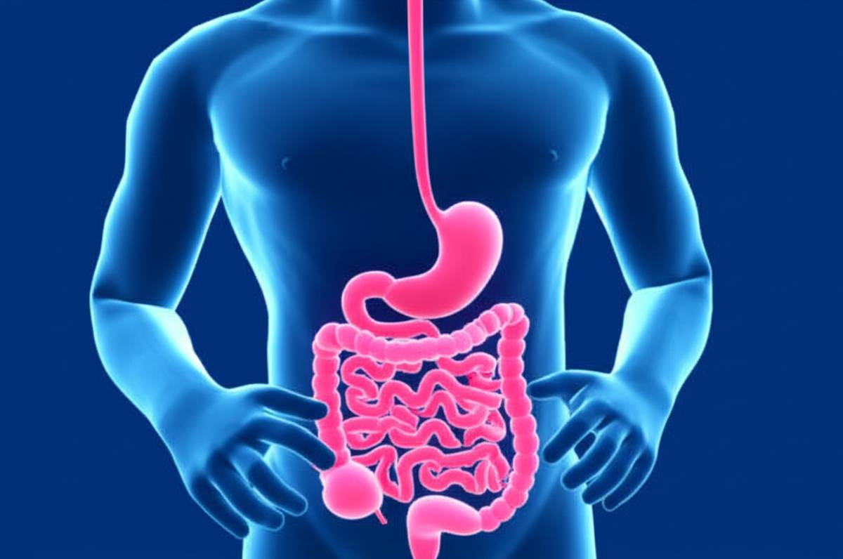 ۱۰ نشانه اصلی سردی معده | راهنمای کامل علائم و تشخیص