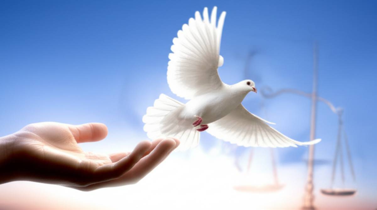 حقوق | وکیل عدول از گذشت مسموع نیست یعنی چه؟ (مفهوم و تفسیر حقوقی)